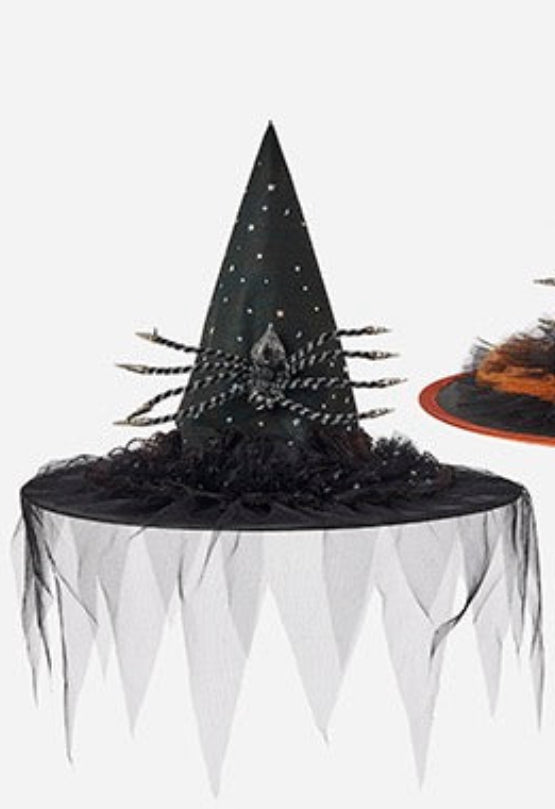 180 Degree 13.5" Glitzy Spider Hat