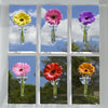 Two's Company Wall Flower Display