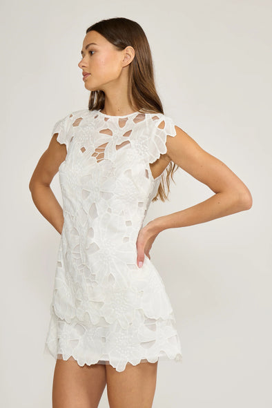 white mini eyelet dress Lucy Paris White Greta Eyelet Mini Dress