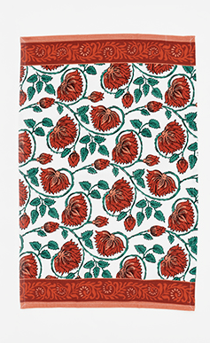 180 Degree Spice Trail Dish Towel