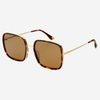 Freyers Dark Tortoise Cosmo Acetate Womens Square Sunglasses