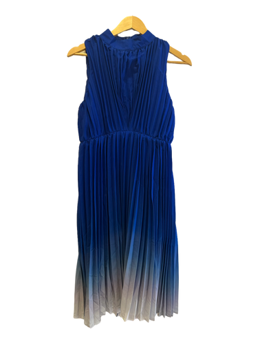 Pleated Ombre Dress